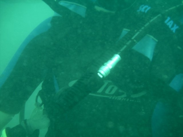 scott's dive equipment